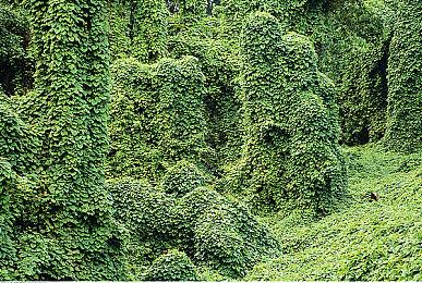 《生化危机8》VR17分钟实机演示 八尺夫人亮相