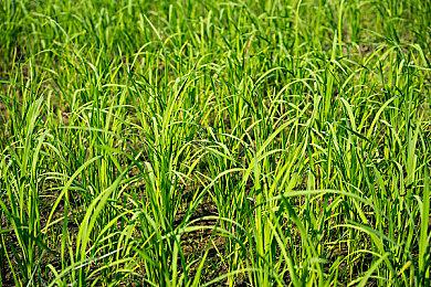 Steam夏日特卖宣传片公布 活动本周五上线